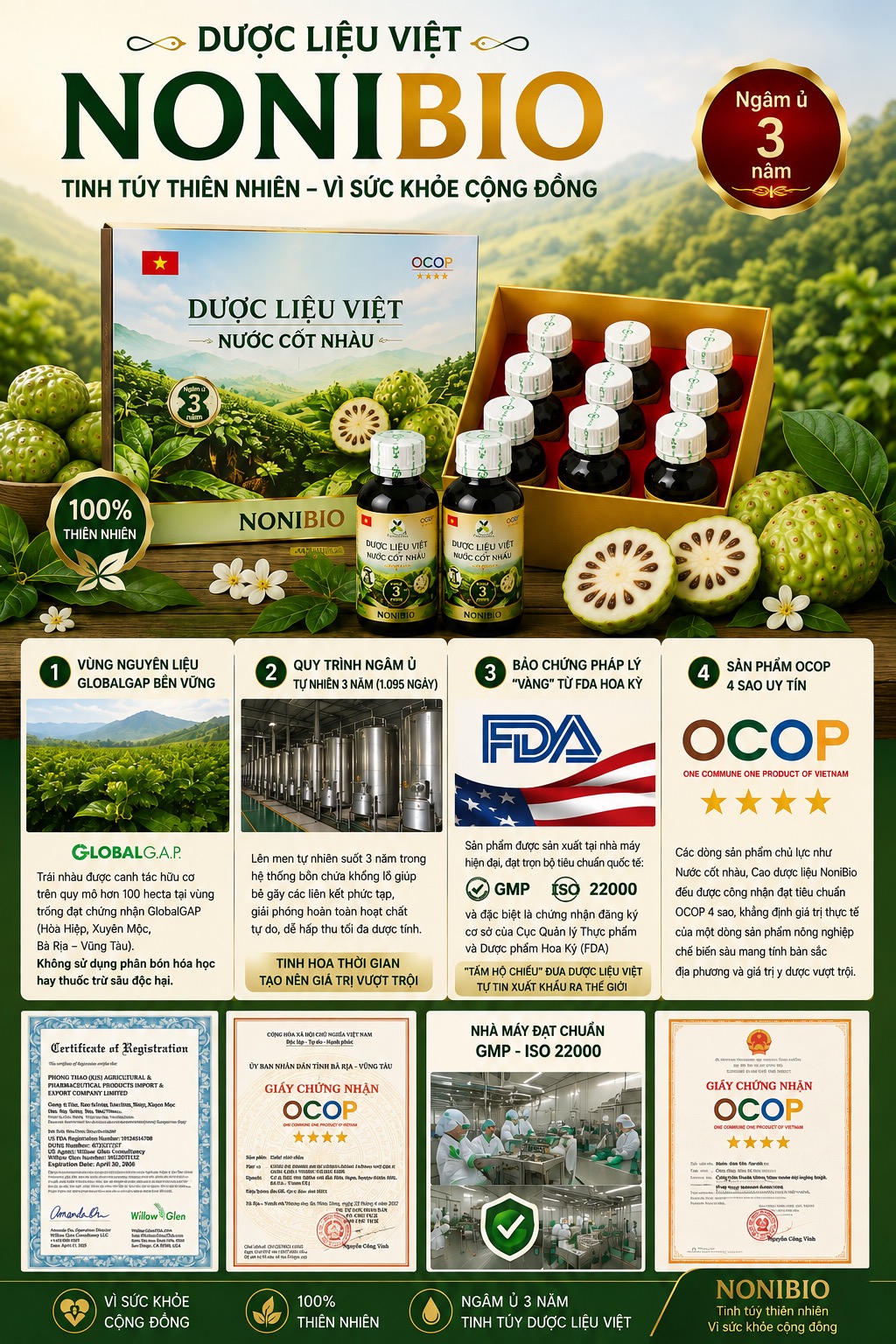 Giải Mã Hoạt Chất Damnacathal: "Lá Chắn" Hỗ Trợ Tăng Cường Hệ Miễn Dịch Chủ Động Từ Kiến Phúc