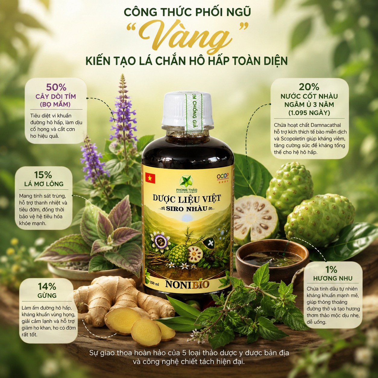 Siro Nhàu Noni Bio: "Lá Chắn" Xanh Bảo Vệ Hệ Hô Hấp Cho Cả Gia Đình Từ Kiến Phúc