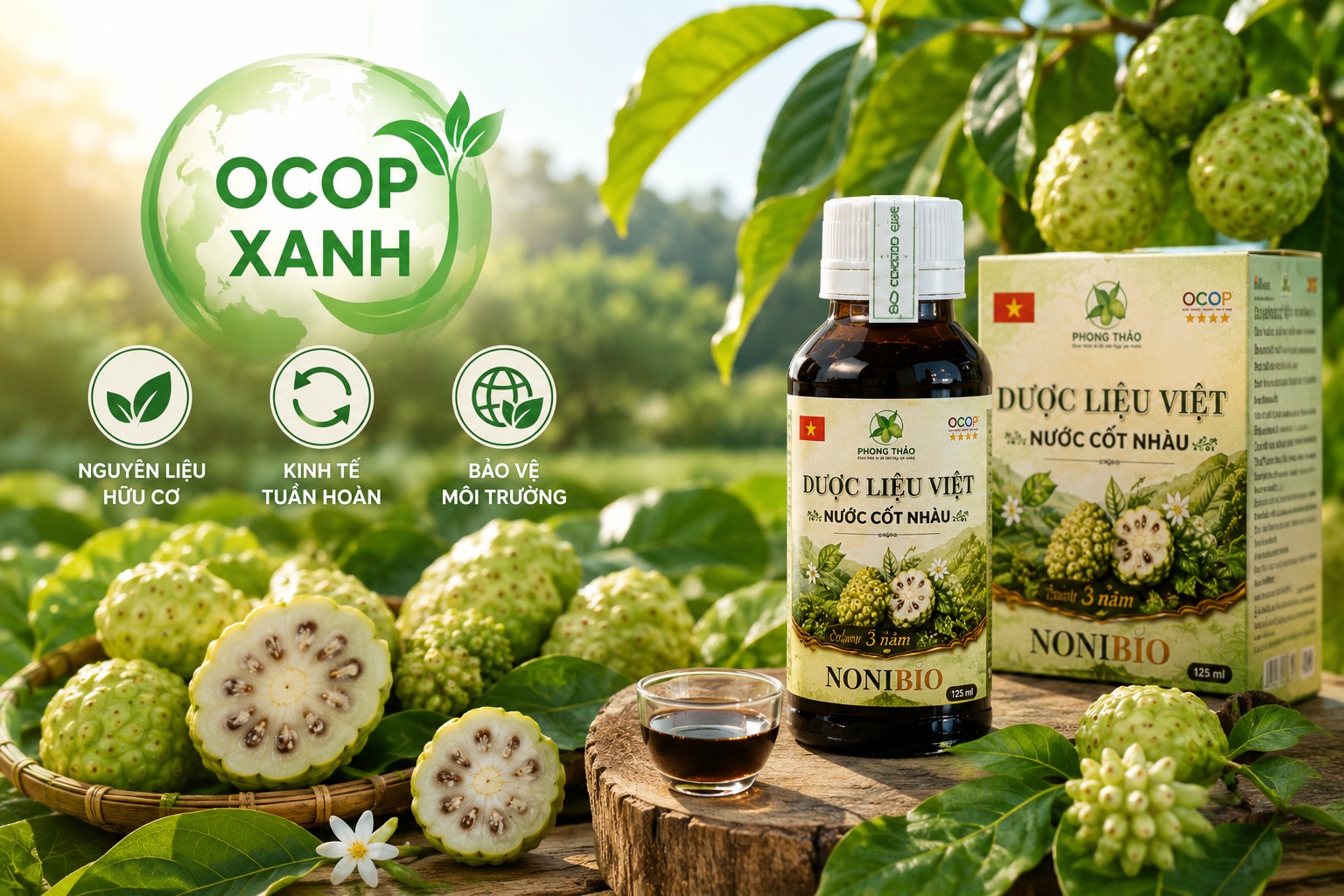 Triết Lý Nông Nghiệp Tuần Hoàn: Hành Trình Xanh Hóa Chuỗi Giá Trị Bền Vững Của Kiến Phúc