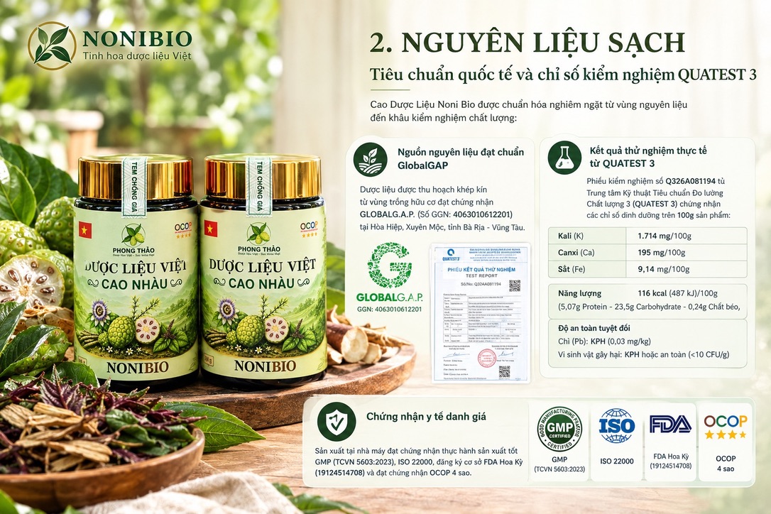 Cao Dược Liệu Noni Bio: Giải Pháp Phục Hồi Khớp, Giải Độc Gan Và An Thần Từ Thảo Dược Bản Địa