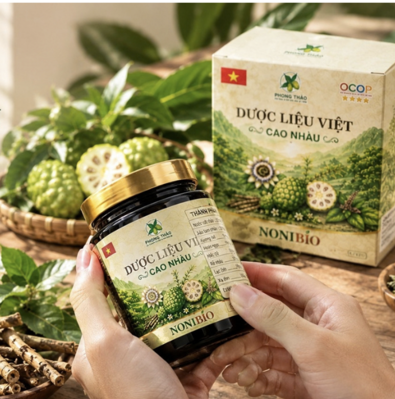 Axit Ursolic & Beta-Sitosterol Trong Trái Nhàu Noni Bio: Bộ Đôi Giảm Cholesterol, Bảo Vệ Tim Mạch Và Mô Sụn Khớp