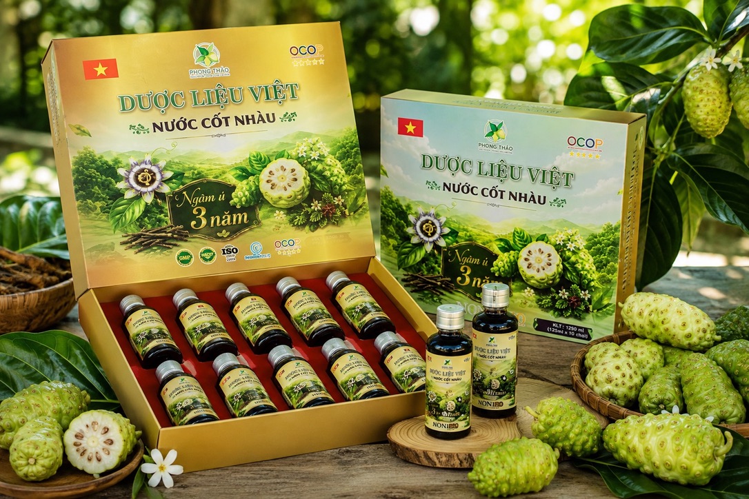Hành Trình Dược Liệu Tử Tế: Khám Phá Vùng Trồng Nhàu GlobalGAP 100 Hecta Và Nhà Máy Chuẩn FDA Hoa Kỳ