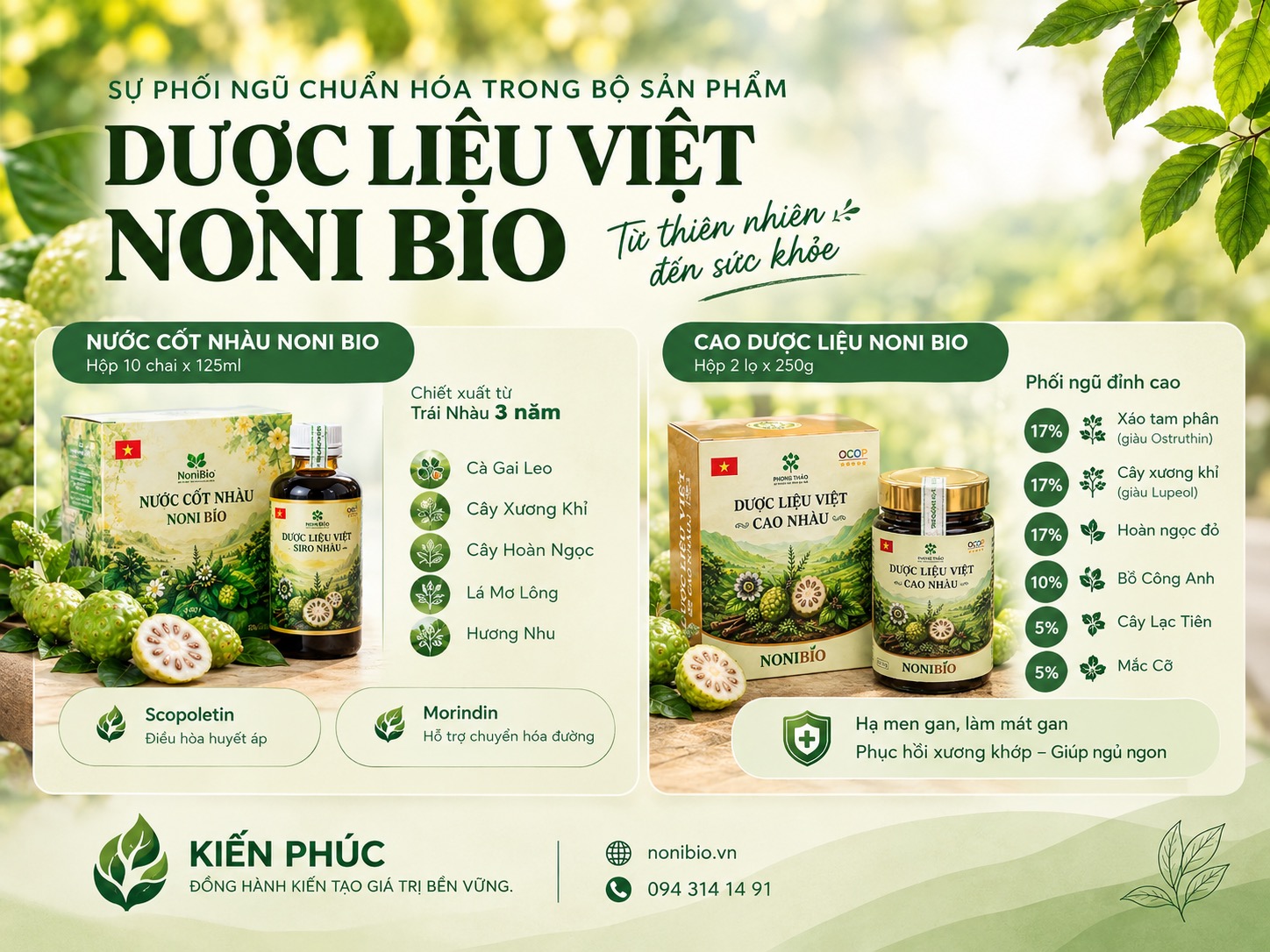 Cà Gai Leo Và Bồ Công Anh Trong Noni Bio: Giải Pháp Thanh Nhiệt, Giải Độc Gan Và Bảo Vệ Tế Bào Gan Tự Nhiên